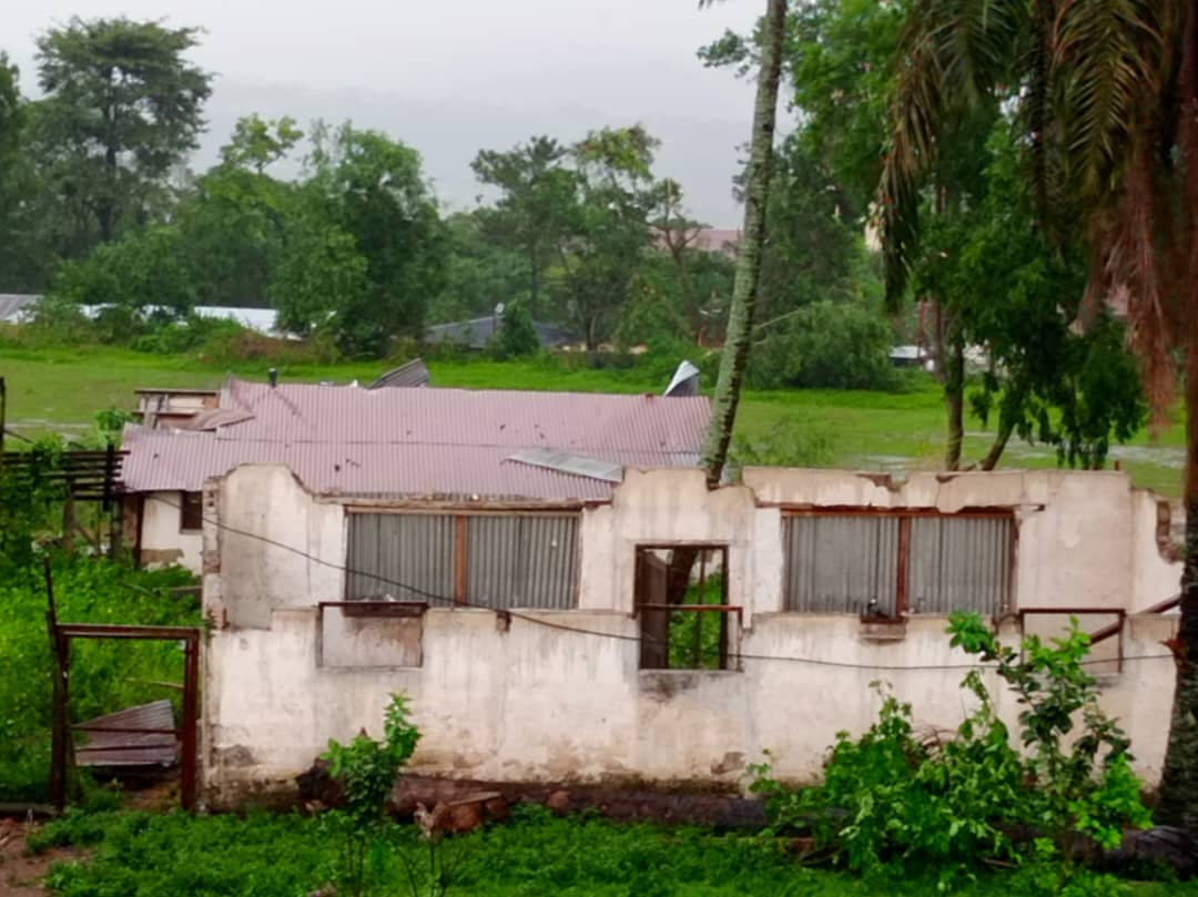 SOS CANISIUS après la tempête !