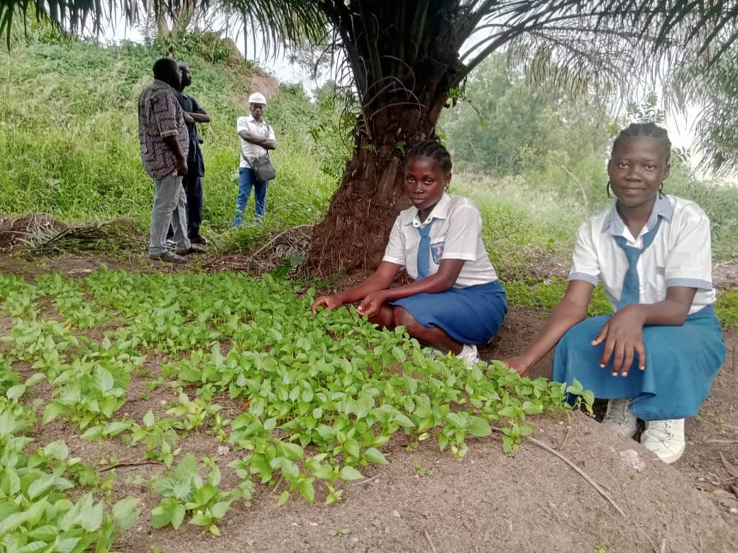 Tshopo: l'option agronomie du complexe scolaire Saint Paul portée par l'accompagnement du centre Maisha 